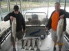(09/19/2014) - Nice Striped Bass